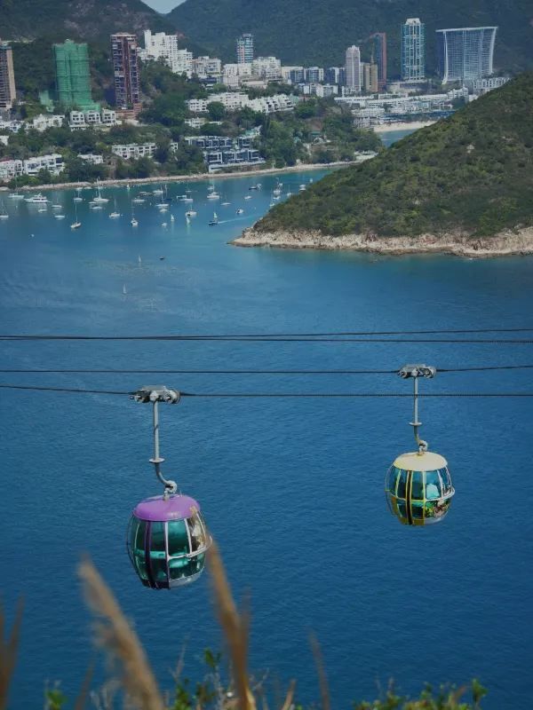 Discover the Thrills of Hong Kong's Ocean Park