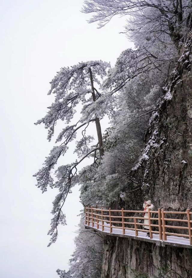 長沙冬日雪韻：明月山滑雪與溫泉之旅