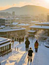 札幌，一座令人心醉的城市！