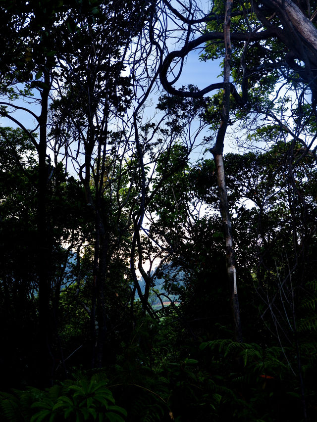 Take A Look At Mt. Patuha ⛰️✨