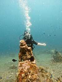 Scuba Diving At Coral Garden Bali 🪸🤿 