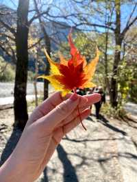 Kamikochi ต้องไปสักครั้งในชีวิต