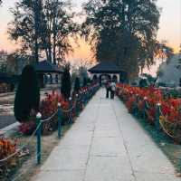 SHALIMAR BAGH: A MUST VISIT.