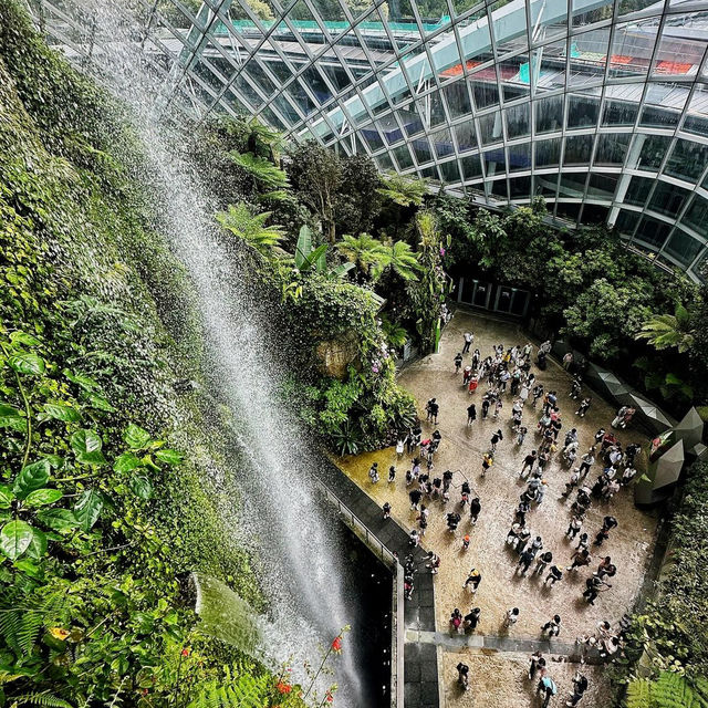 Exploring the Wonders of Cloud Forest