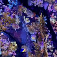 Marine Marvels Await at Sea Life Ocean World, Siam Icon!