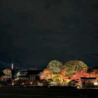 🇯🇵京都「東寺」 倒影如畫的夜楓🍁之旅！