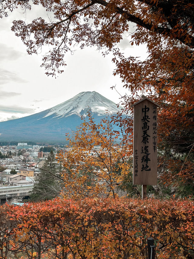 河口湖必訪｜拍攝富士山的最佳位置🗻⛩️