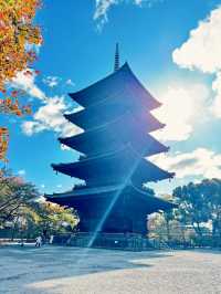 Toji Temple: A Must-Visit Spiritual Landmark in Japan