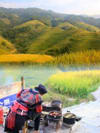 Golden Hues of Autumn: Exploring Longji Rice Terraces