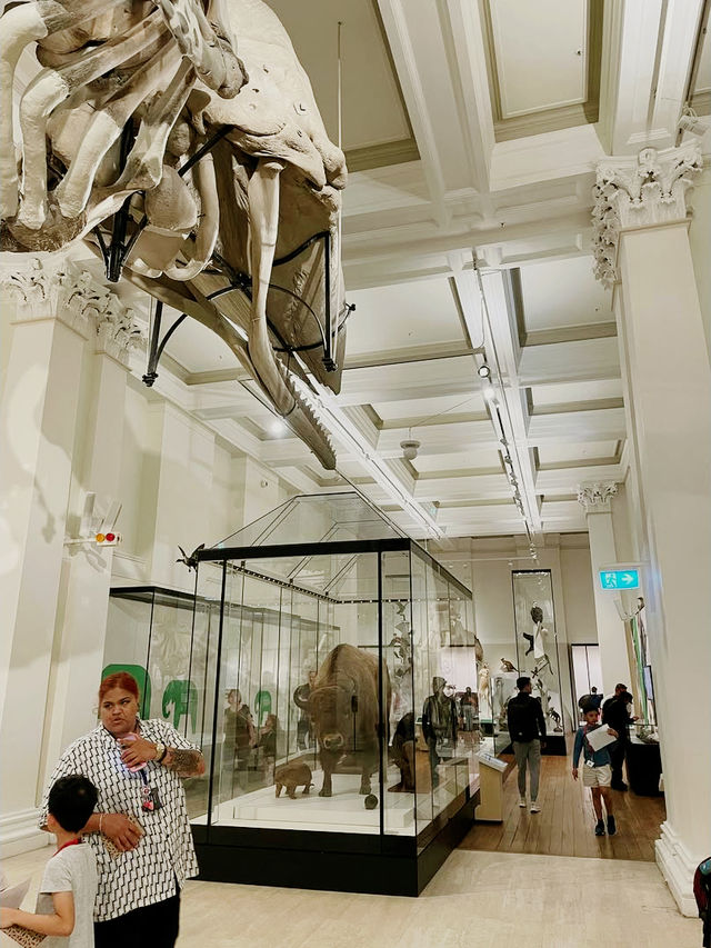 Exploring Wonders at the Australian Museum 