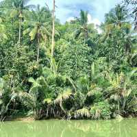 A peaceful jungle village hotel next to Loboc river 