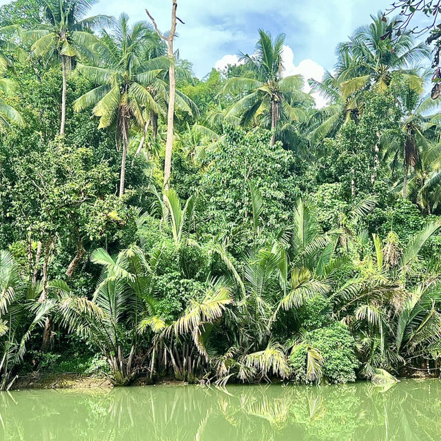 A peaceful jungle village hotel next to Loboc river 