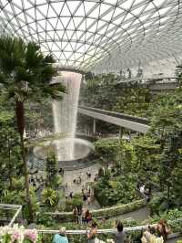 Jewel Changi: Where Travel Meets Magic