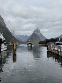 Majestic Milford Sound, NZ