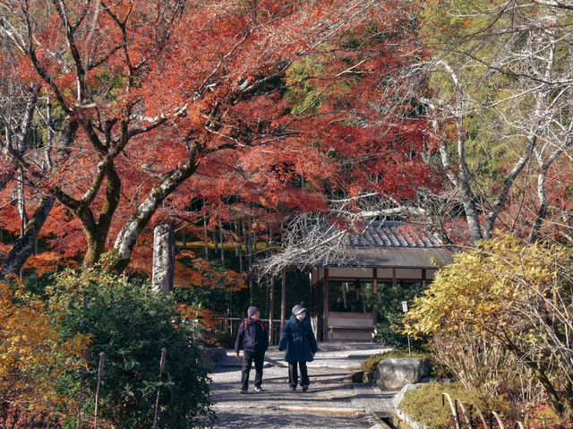 嵯峨天龍寺