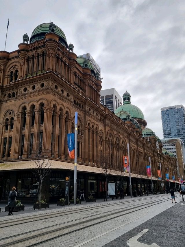 호주 시드니 타운홀을 따라 걷는 거리🇦🇺