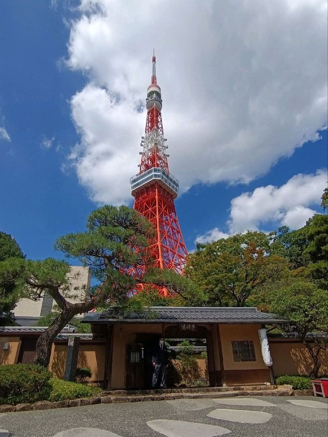 Reach New Heights: Unforgettable Views from Tokyo Tower