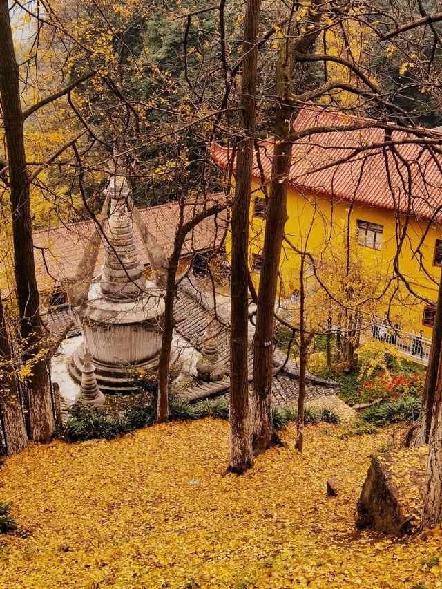 大邑白岩寺