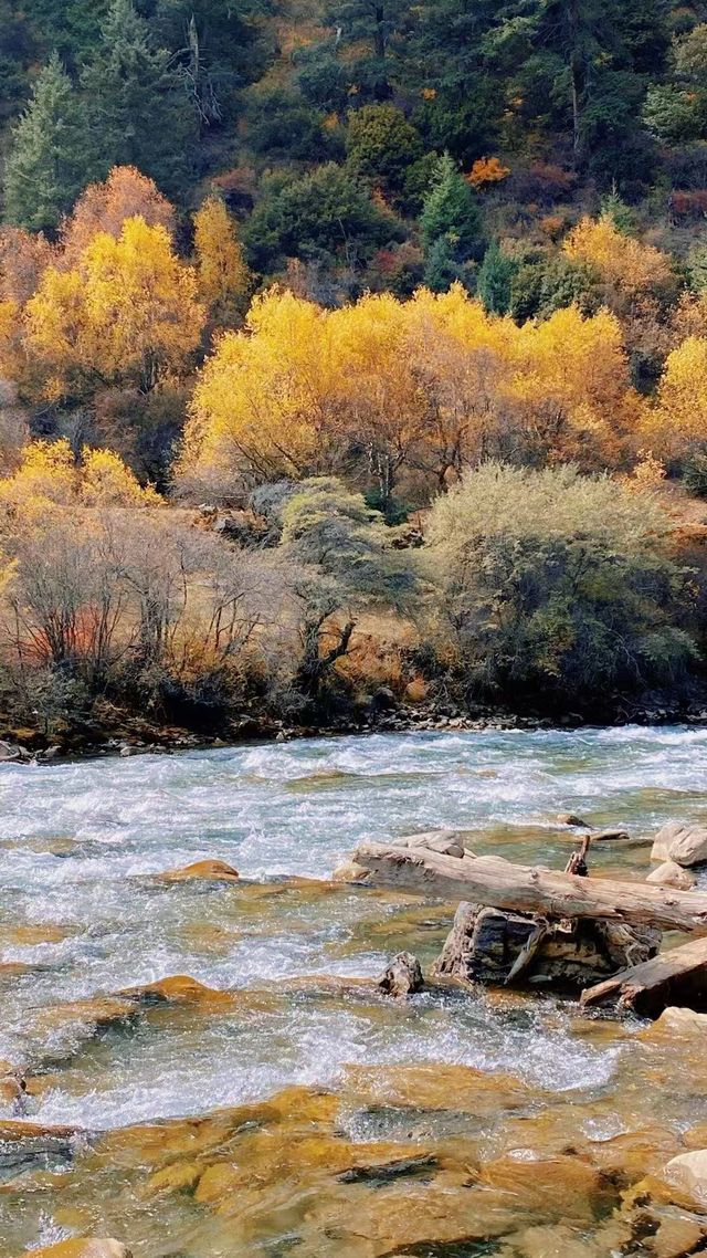 秋天第一次旅行，一定要留给川西，因为实在太，，，