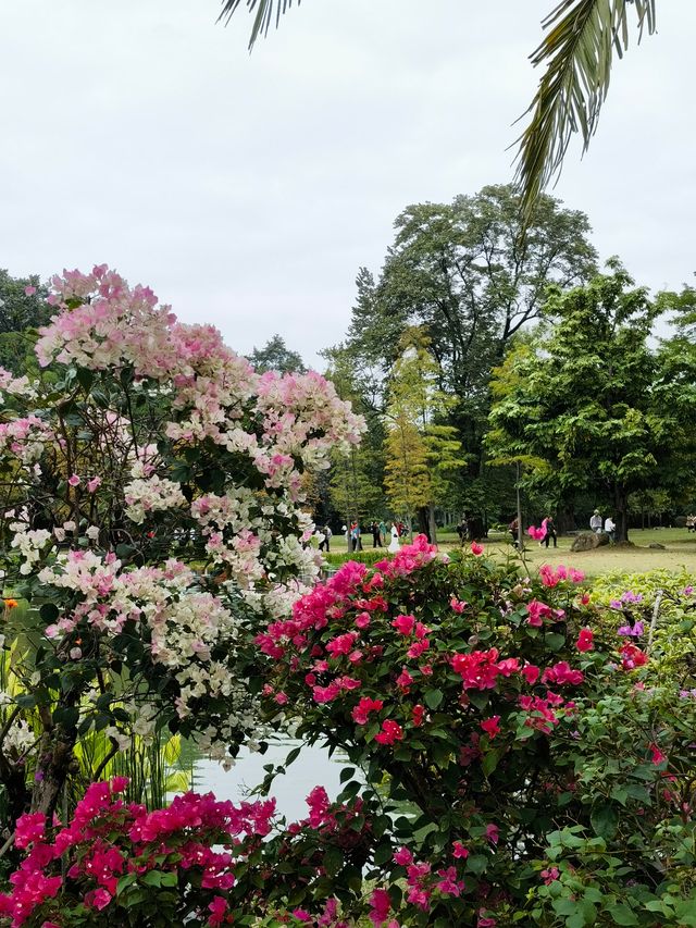 華南國家植物園。