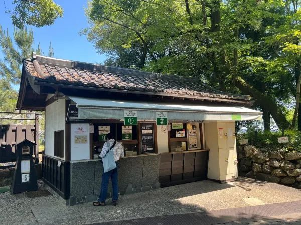 Half a Day in Inuyama, Totally Worth It 🏯