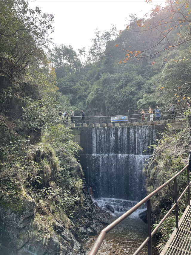 桐廬大奇山。