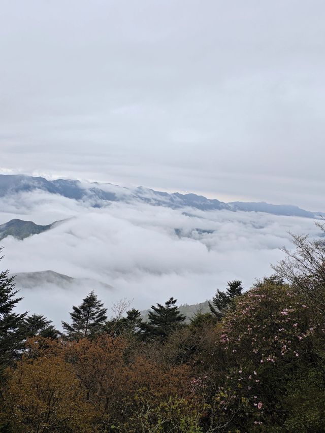 3日探秘神農架等地 美到不想回家。