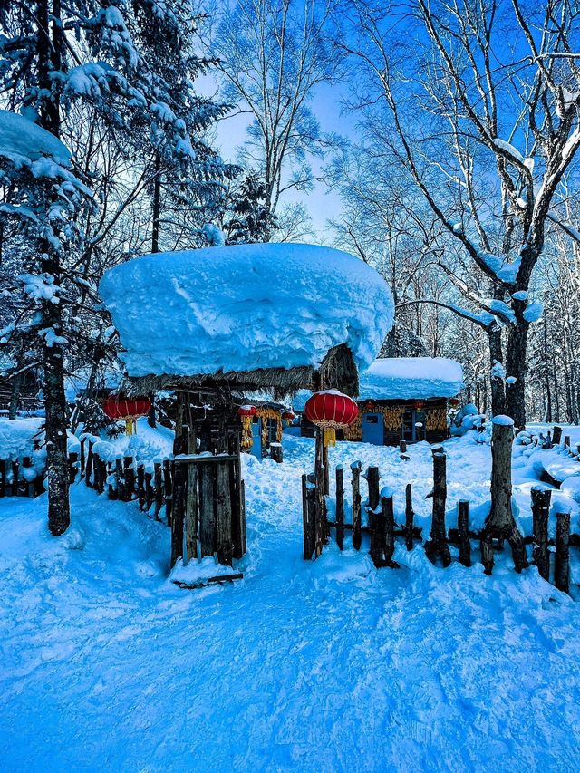 黑龍江哈爾濱|亞雪公路•銀裝素裹冰天雪地。