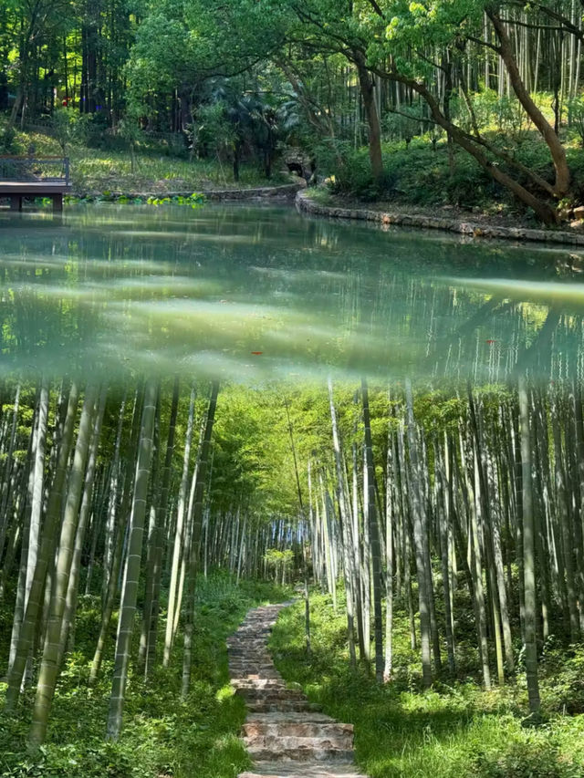 東明山下的夢幻小屋，森語民宿，睡進森林