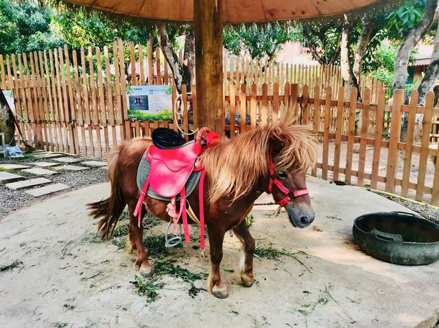 西雙版納喜樂園：成人小孩的歡樂秘境