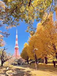 東京城市綠洲：芝公園的悠然時光