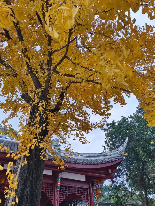 成都青羊宮，顏值巔峰