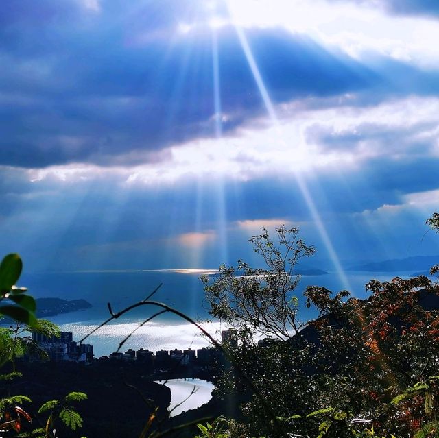 香港大學•龍虎山•太平山頂