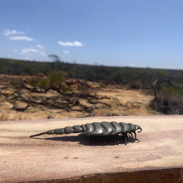 Awesome view - Kalbarri National Park and Sky Bridge 