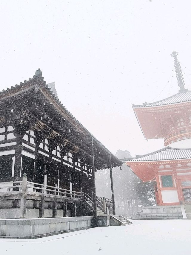 Danjo Garan Temple / A Snowy Day.