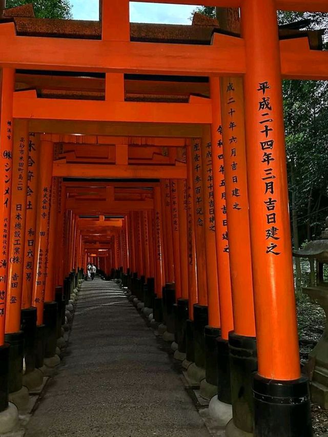 Explore Fushimi Inari Taisha Shrine ⛩️