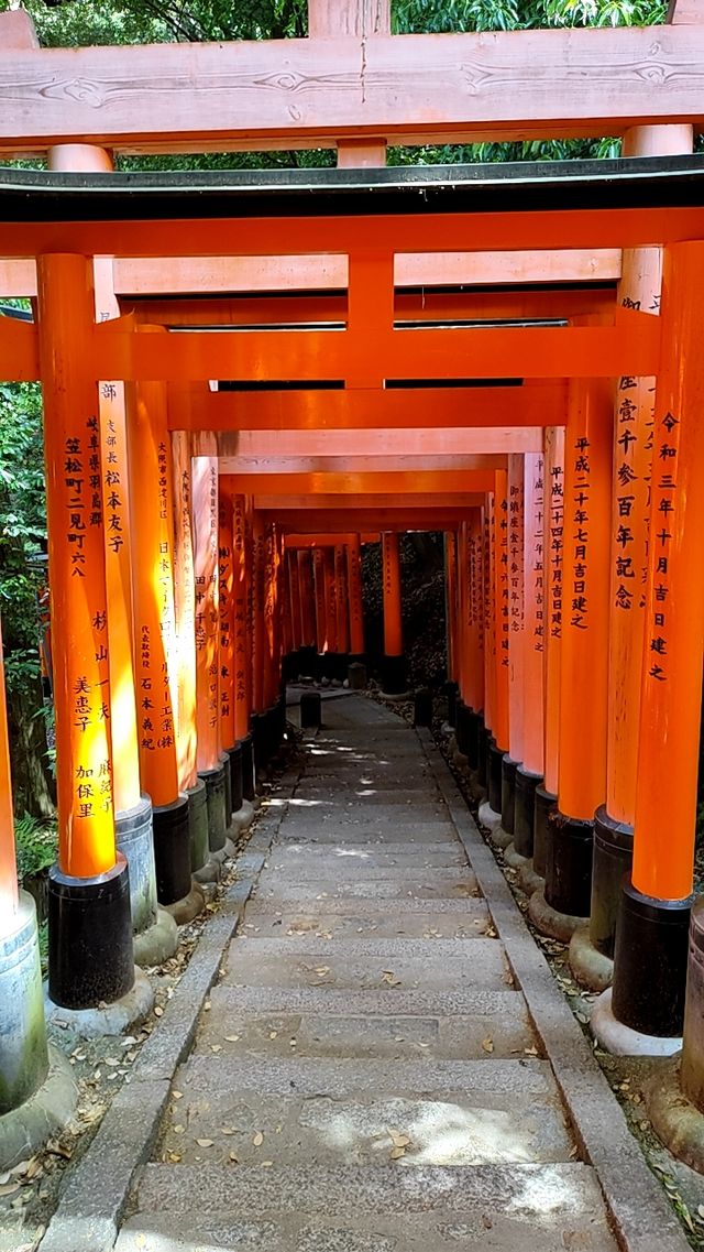 Exploring the Heart of Kyoto