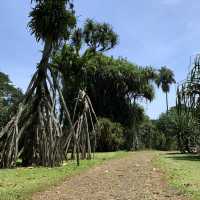 Bogor, gem city near Jakarta 