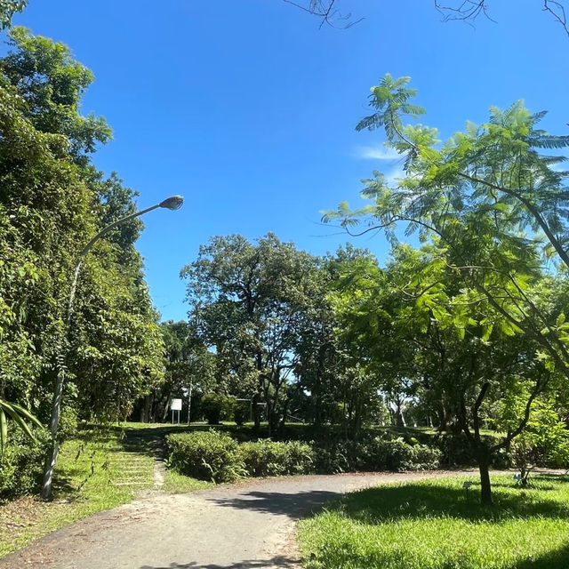 優雅絕美的法式莊園 ｜宜蘭仁山植物園