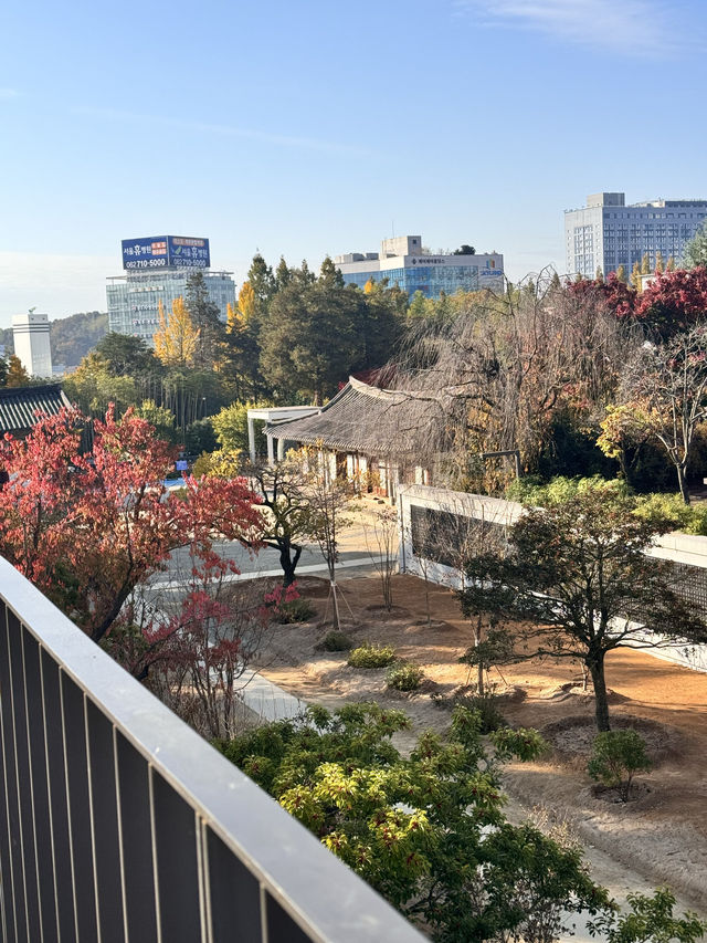 광주 마음이 경건해지는 도심속 사찰을 찾는다면,무각사