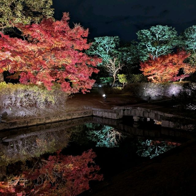 🇯🇵京都「東寺」 倒影如畫的夜楓🍁之旅！