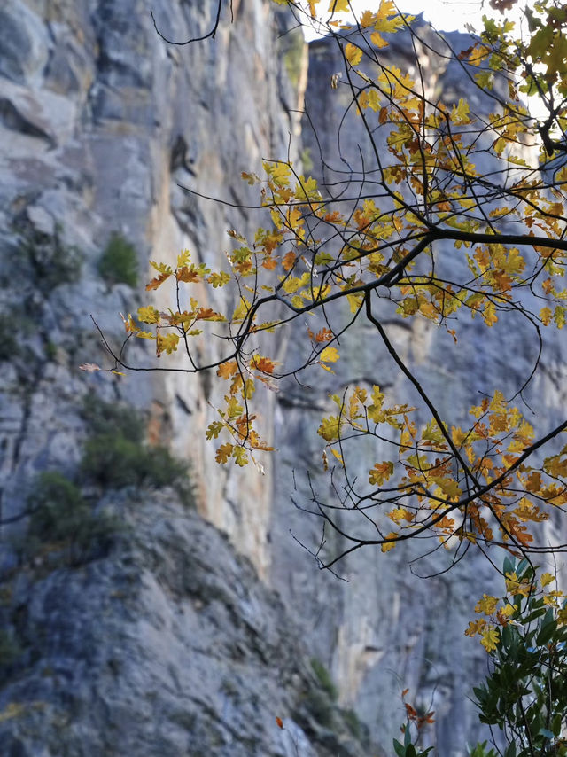 Trail Mix and Epic Views: Strolling Through Yosemite