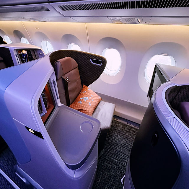 Luxury in the Skies with Singapore Airlines