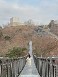 평화의 길과 함께 걷는 김포 여행 스팟🫧 