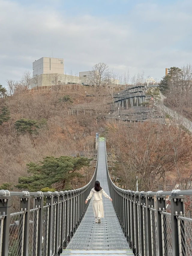 평화의 길과 함께 걷는 김포 여행 스팟🫧 