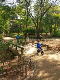 The Beauty of Seoul is Seoul Forest