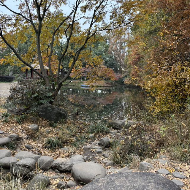 Wandering around Gongqing Forest Park