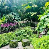 National Orchid Garden