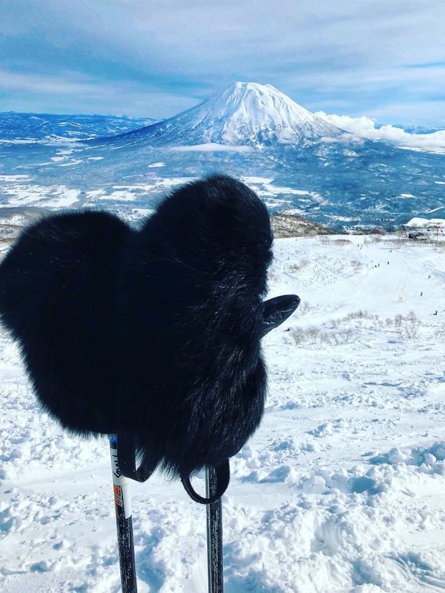 二世谷滑雪 | 安努普利滑雪場