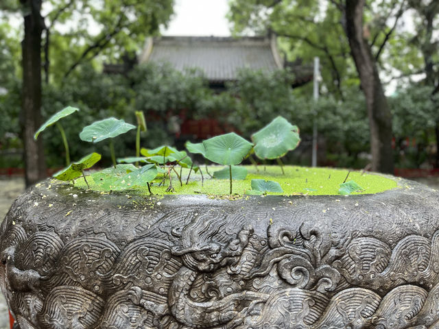 法源寺，一座歷史悠久的佛教聖地